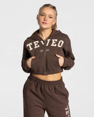 Women's Teveo College Zip Hoodie Dark Brown | USA-6915UHAXW