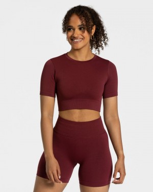 Women's Teveo Sensation Crop Tops Burgundy | USA-9438ZTLJN