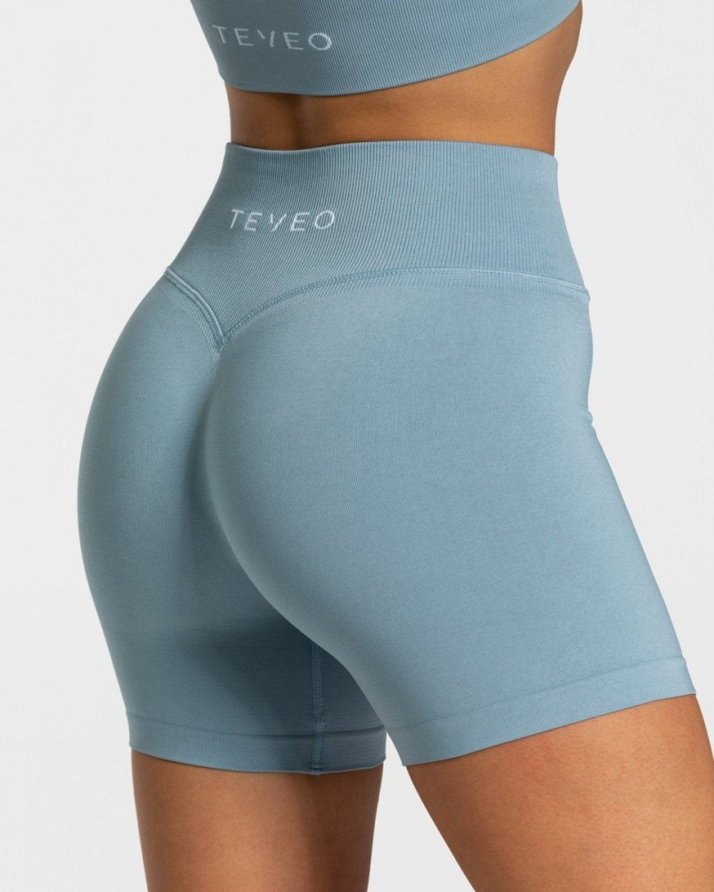 Women's Teveo Sensation Mini Shorts Grey Blue | USA-7392EKRFD