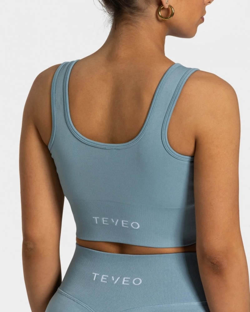 Women's Teveo Sensation Sports Bra Grey Blue | USA-3258GYXNQ