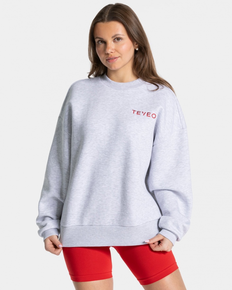 Women's Teveo Signature Oversized Sweaters Light Grey | USA-8529QCMLJ