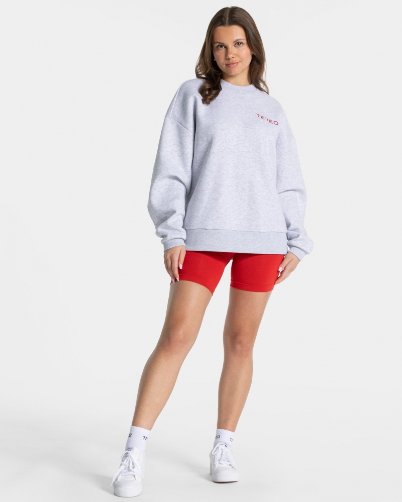 Women's Teveo Signature Oversized Sweaters Light Grey | USA-8529QCMLJ