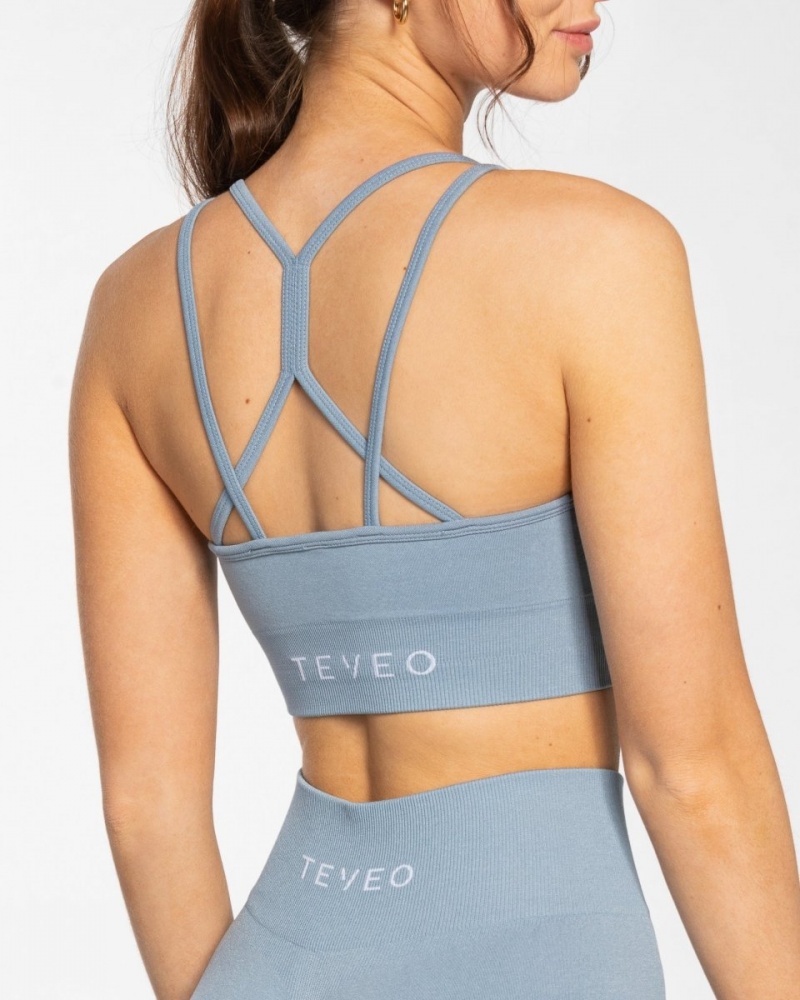 Women's Teveo Timeless Scrunch Sports Bra Grey Blue | USA-9658NWZXP