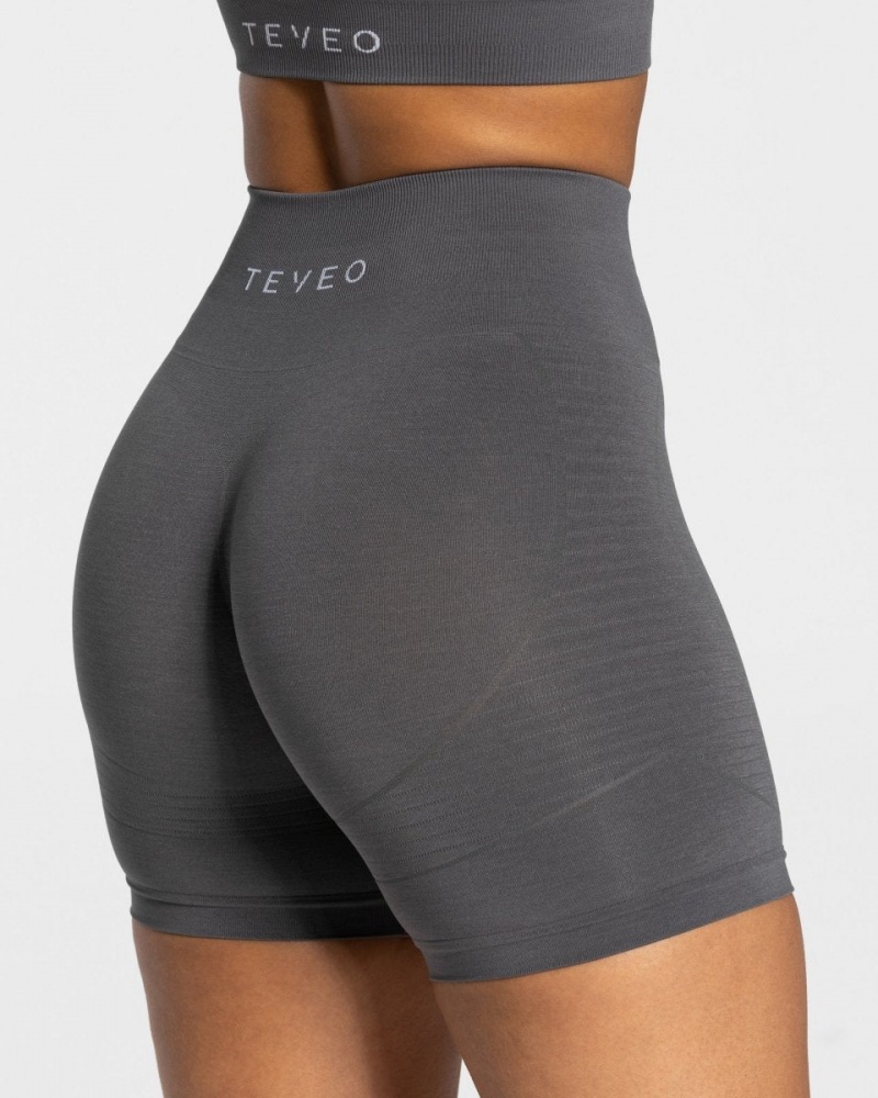 Women's Teveo True Shorts Dark Grey | USA-4296QDOJT