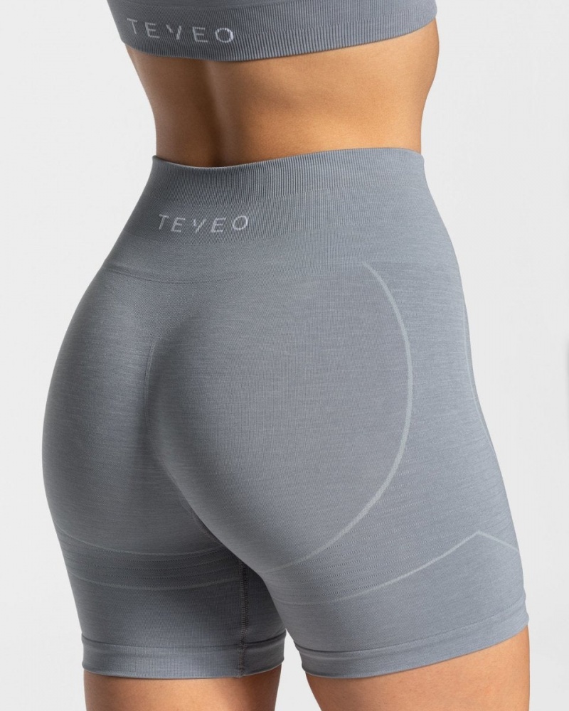 Women's Teveo True Shorts Grey Blue | USA-0781VYFWN