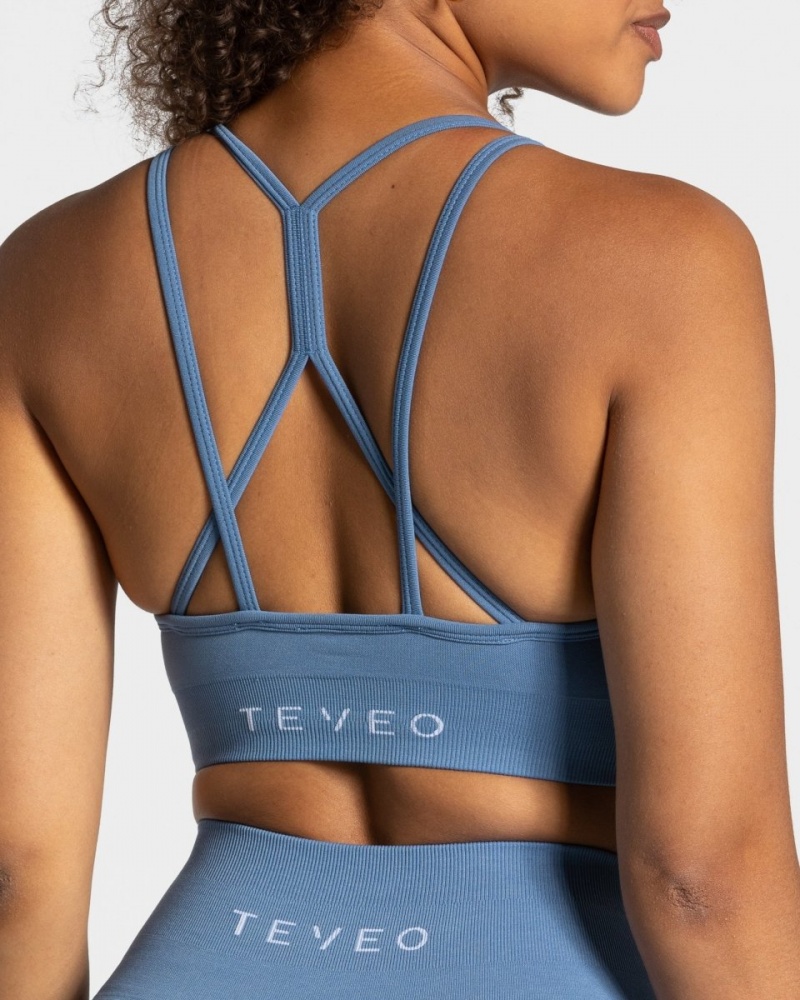 Women's Teveo True Sports Bra Blue | USA-7649TZNWI