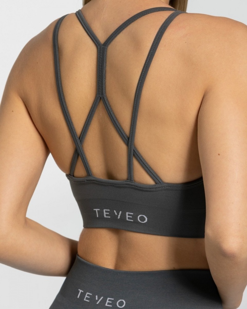 Women's Teveo True Sports Bra Dark Grey | USA-7641FLZKG