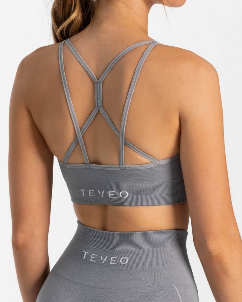 Women's Teveo True Sports Bra Grey Blue | USA-6794KLDBA